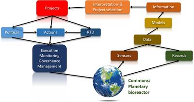 Blockchain for Organizing Effective Grass-Roots Actions on a Global Commons: Saving the Planet